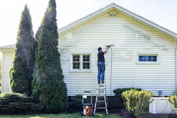 Best Soft Washing  in Deer Park, WA